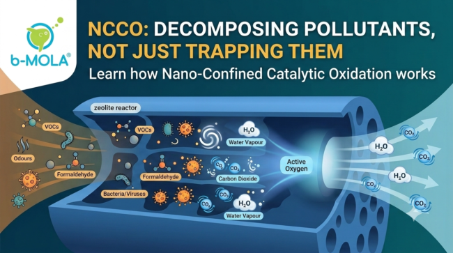 What is NCCO image for BLOG